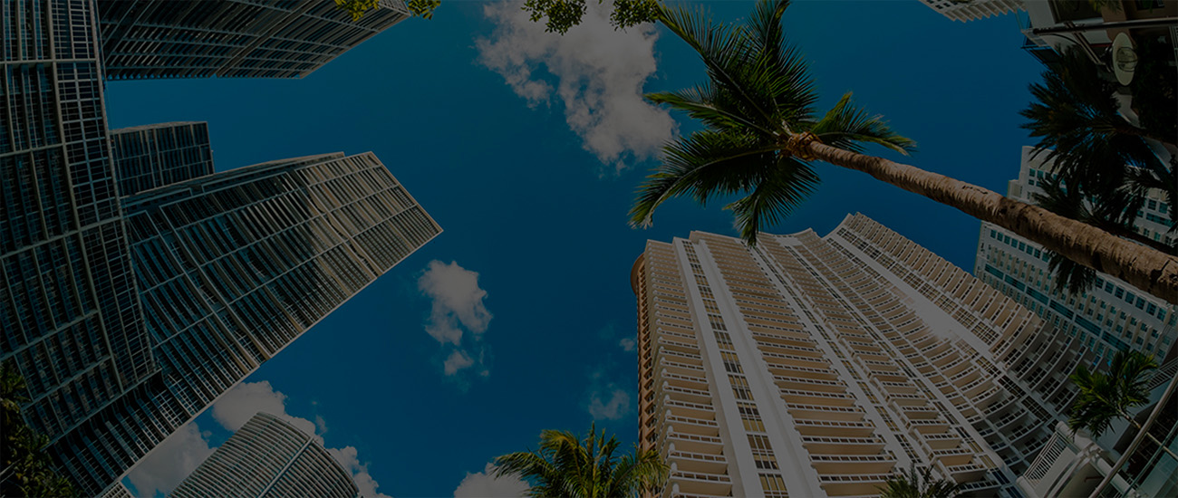 A skyline of tall buildings is framed by palm trees
